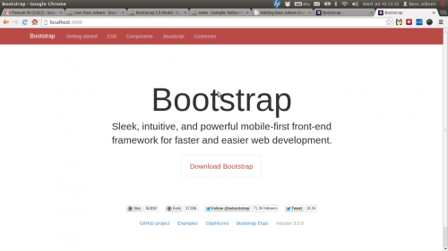 Twitter ' s Bootstrap 3.0.0 Docs