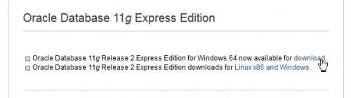 How Install Oracle Express Xe 11g On Windows 64 Bit